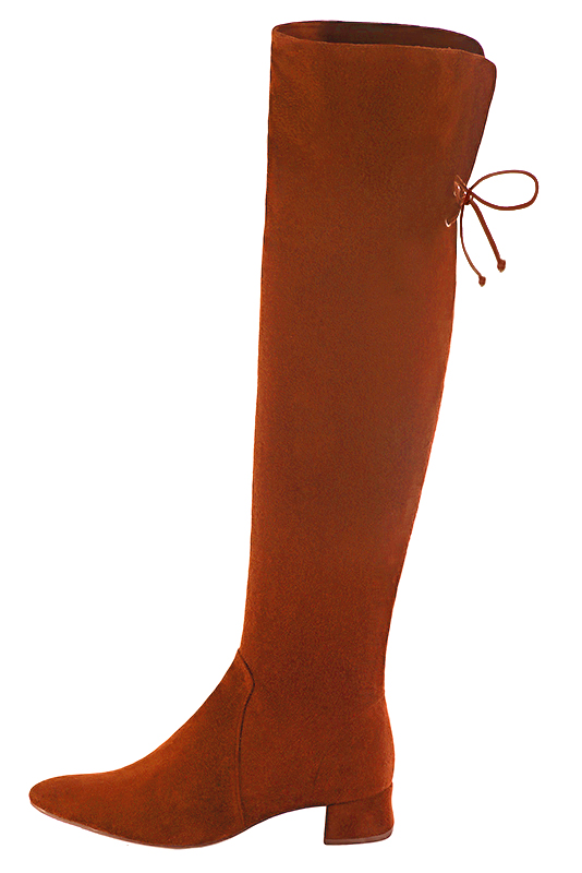 Terracotta orange women's leather thigh-high boots. Tapered toe. Low flare heels. Made to measure. Profile view - Florence KOOIJMAN